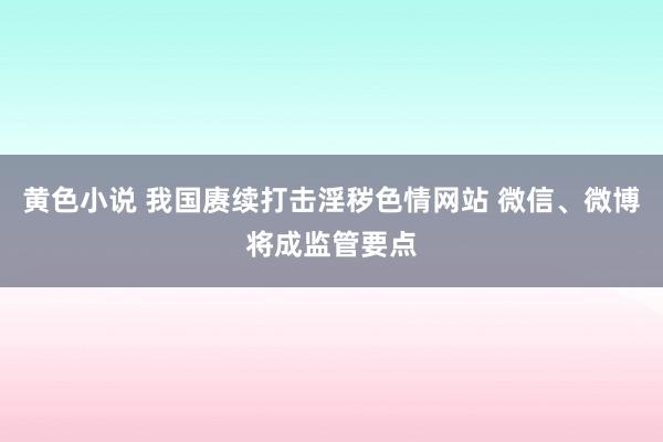 黄色小说 我国赓续打击淫秽色情网站 微信、微博将成监管要点