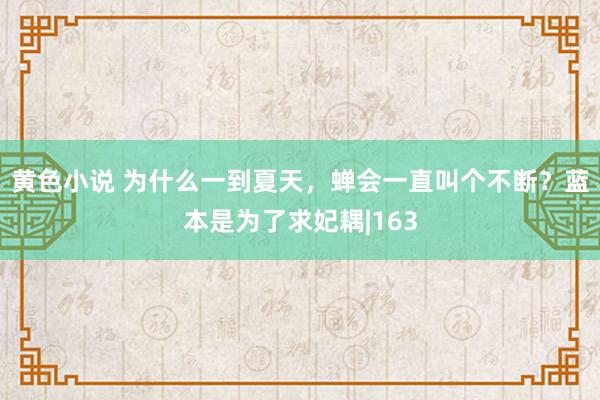 黄色小说 为什么一到夏天，蝉会一直叫个不断？蓝本是为了求妃耦|163