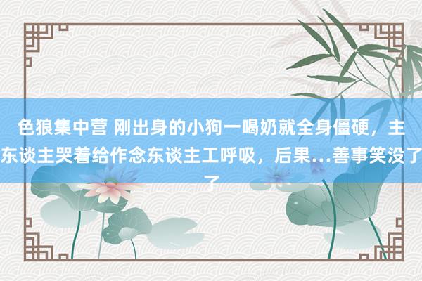 色狼集中营 刚出身的小狗一喝奶就全身僵硬，主东谈主哭着给作念东谈主工呼吸，后果…善事笑没了