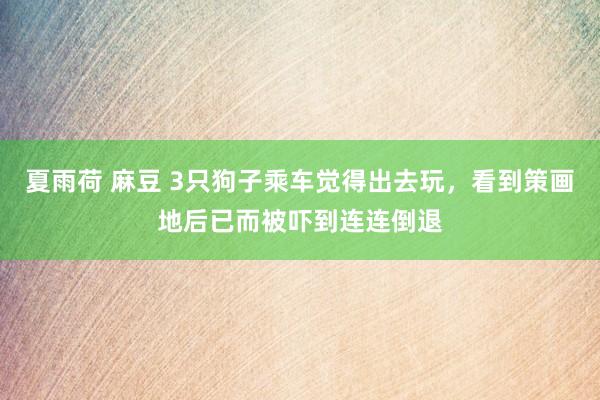 夏雨荷 麻豆 3只狗子乘车觉得出去玩，看到策画地后已而被吓到连连倒退