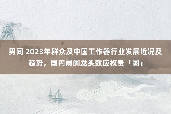 男同 2023年群众及中国工作器行业发展近况及趋势，国内阛阓龙头效应权贵「图」