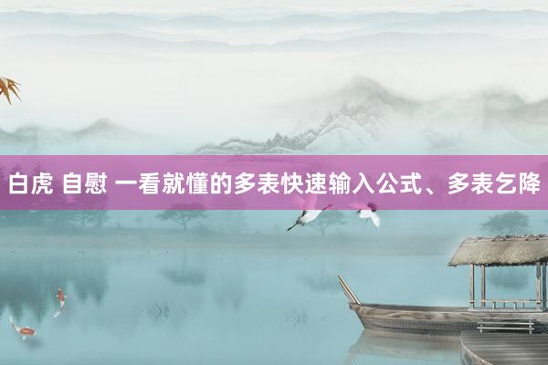 白虎 自慰 一看就懂的多表快速输入公式、多表乞降