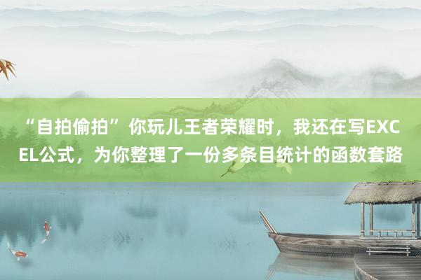 “自拍偷拍” 你玩儿王者荣耀时，我还在写EXCEL公式，为你整理了一份多条目统计的函数套路