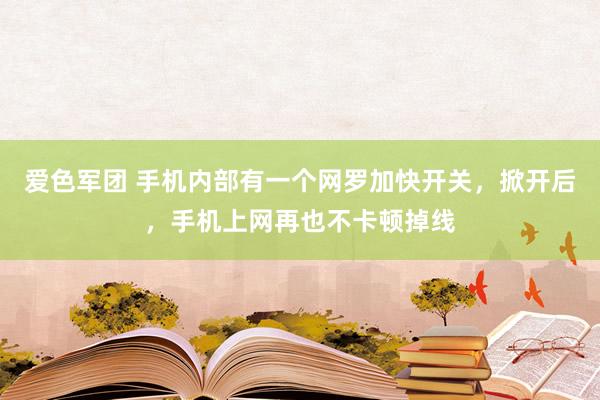 爱色军团 手机内部有一个网罗加快开关，掀开后，手机上网再也不卡顿掉线