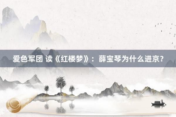 爱色军团 读《红楼梦》：薛宝琴为什么进京？