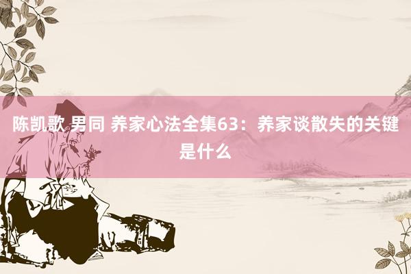 陈凯歌 男同 养家心法全集63：养家谈散失的关键是什么