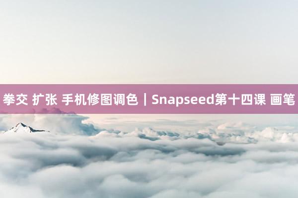 拳交 扩张 手机修图调色｜Snapseed第十四课 画笔