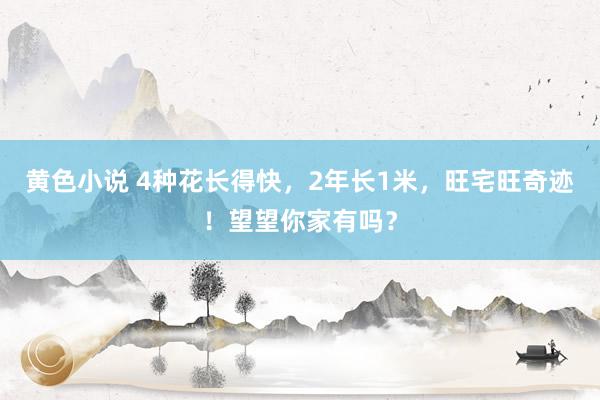 黄色小说 4种花长得快，2年长1米，旺宅旺奇迹！望望你家有吗？