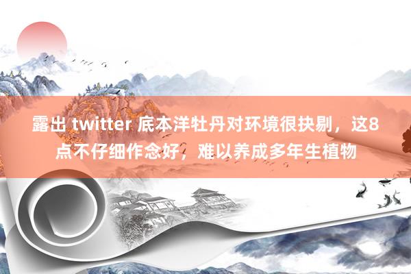 露出 twitter 底本洋牡丹对环境很抉剔，这8点不仔细作念好，难以养成多年生植物