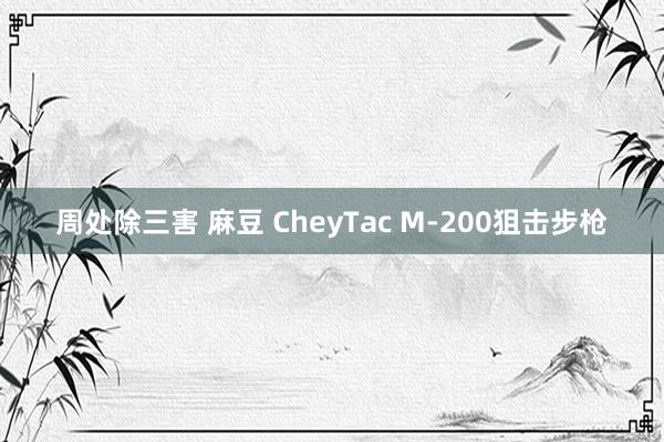 周处除三害 麻豆 CheyTac M-200狙击步枪